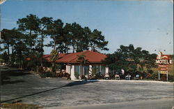 Havana Motel and Tropical Trailer Park Tampa, FL Postcard Postcard Postcard