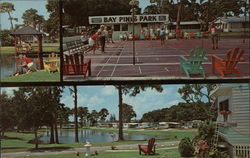 Bay Pines Park St. Petersburg, FL Postcard Postcard Postcard