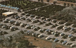 Emerald Grove Travel Park Harlingen, TX Postcard Postcard Postcard