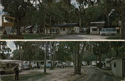 White Bird Motel & Trailer Park New Smyrna Beach, FL Postcard Postcard Postcard