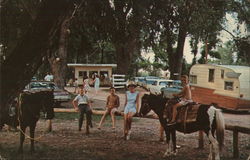 Spearfish Valley Ranch Campground Postcard