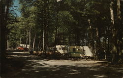 Ludington State Park Postcard