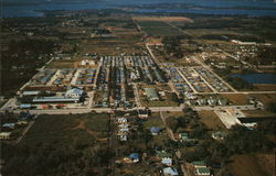 Palmetto Trailer Park Florida Postcard Postcard Postcard