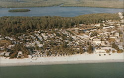 The Center of Estero Island Postcard