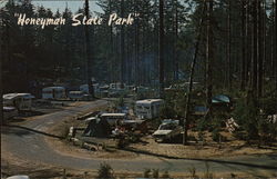 Honeyman State Park Postcard