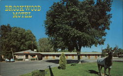 Brookwood Motel and Trailer Park Postcard