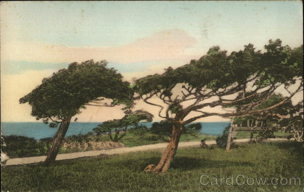 The Cedars at West Chop Martha's Vineyard Massachusetts