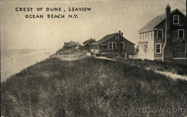 Crest of Dune, Seaview Ocean Beach New York