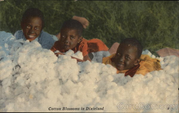 Cotton Blossoms in Dixieland Black Americana