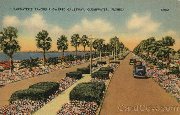 Famous Flowered Causeway Clearwater Florida