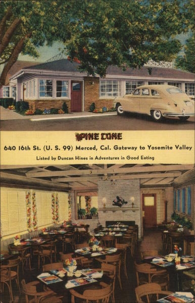 Pine Cone Merced California