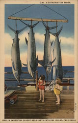 A Catalina Fish Story, Marlin Swordfish Santa Catalina Island, CA Postcard Postcard Postcard