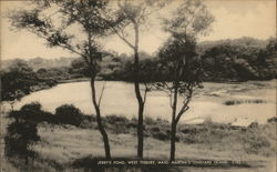 Jerry's Pond West Tisbury, MA Postcard Postcard Postcard