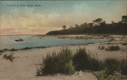 A Cove West Chop, MA Postcard Postcard Postcard