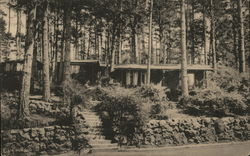 Cottages, Carmel Highlands Postcard