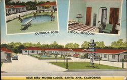 Blue Bird Motor Lodge Santa Ana, CA Postcard Postcard Postcard