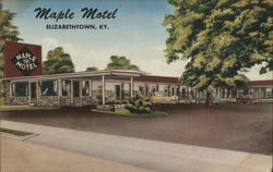 Maple Motel Elizabethtown, KY Postcard Postcard Postcard