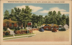 Redwood Tourist Court Jackson, MS Postcard Postcard Postcard