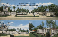 Pelican Sales and Park New Orleans, LA Postcard Postcard Postcard