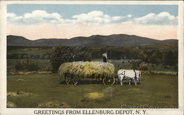 Greetings From Ellenburg Depot, N.Y. New York