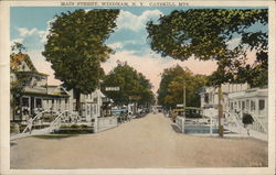 Main Street, Catskill Mts. Windham, NY Postcard Postcard Postcard