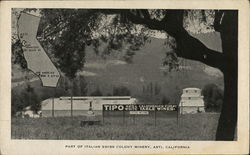 Part of Italian Swiss Colony Winery Postcard