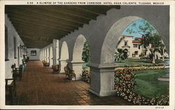 A Glimpse of the Gardens from Corridor, Hotel Agua Caliente Tijuana, Mexico Postcard Postcard Postcard