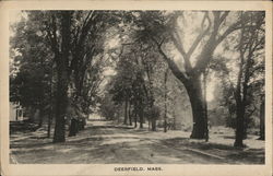 Street Scene Postcard