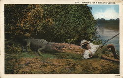 Waiting for a Bite in Florida Black Americana Postcard Postcard Postcard