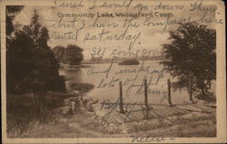 Community Lake Postcard