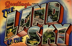 Greetings From The Land Of The Sky Asheville, NC Postcard Postcard