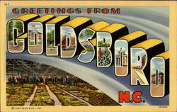 Greetings From Goldsboro Postcard