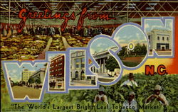 Greetings From Wilson North Carolina Postcard Postcard