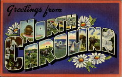 North Carolina Postcard Postcard