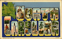 Greetings From North Carolina Postcard