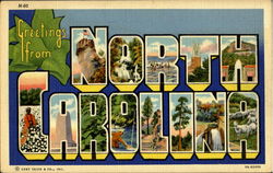 Greetings From North Carolina Postcard Postcard