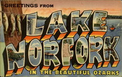 Greetings From Lake Norfork Postcard