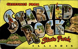 Greetings From Starved Rock State Park Postcard