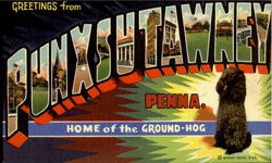 Greetings From Punxsutawney Postcard