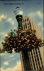 Flower Stands Allentown, PA Postcard Postcard
