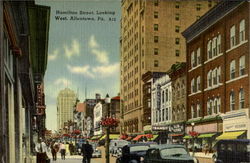 Hamilton Street Postcard