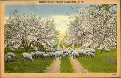 Greetings From Camden Postcard