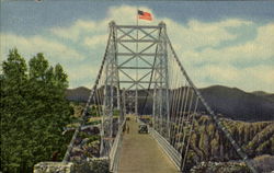 Vista Of The Suspension Bridge Cañon City, CO Postcard Postcard