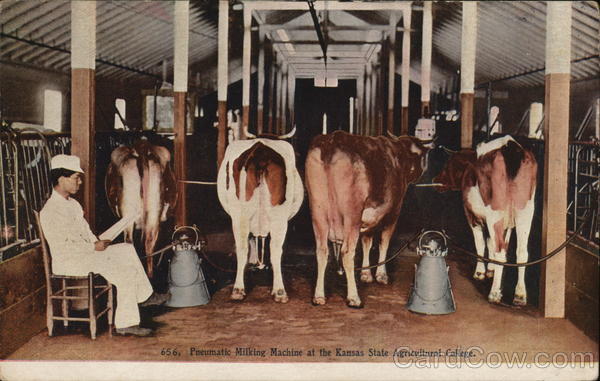 Pneumatic Milking Machine at the Kansas State Agricultural College Manhattan