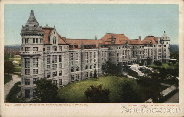 American Museum of Natural History New York