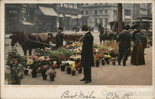 Flower Vendors Display New York