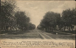 Walnut Street, Looking North Postcard