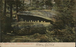 Alligator Rock, Catskills Hunter, NY Postcard Postcard Postcard