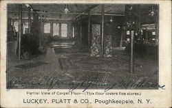 Partial View of Carpet Floor, Luckey, Platt & Co. Postcard