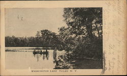 Washington Lake Postcard